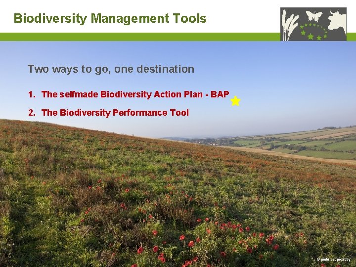 Biodiversity Management Tools Two ways to go, one destination 1. The selfmade Biodiversity Action