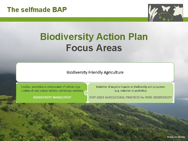 The selfmade BAP Biodiversity Action Plan Focus Areas Funded by Biodiversity in Standards and