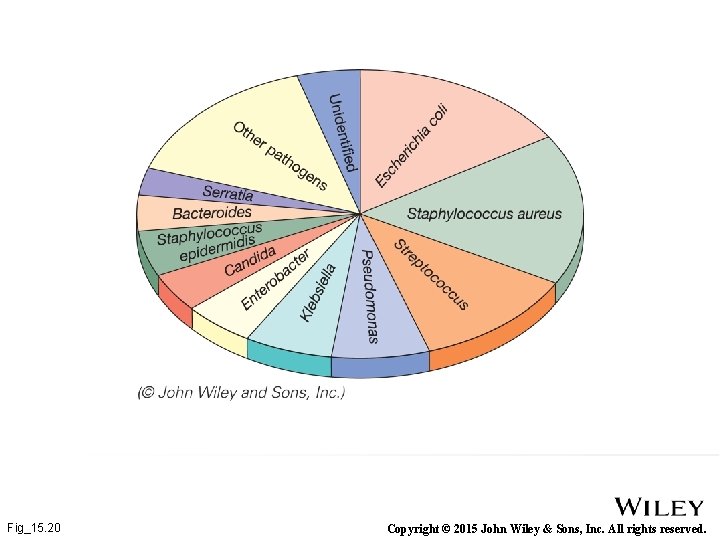 Fig_15. 20 Copyright © 2015 John Wiley & Sons, Inc. All rights reserved. 