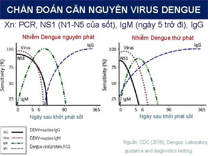 CHẨN ĐOÁN CĂN NGUYÊN VIRUS DENGUE Xn: PCR, NS 1 (N 1 -N 5