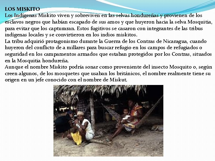 LOS MISKITO Los Indígenas Miskito viven y sobreviven en las selvas hondureñas y provienen