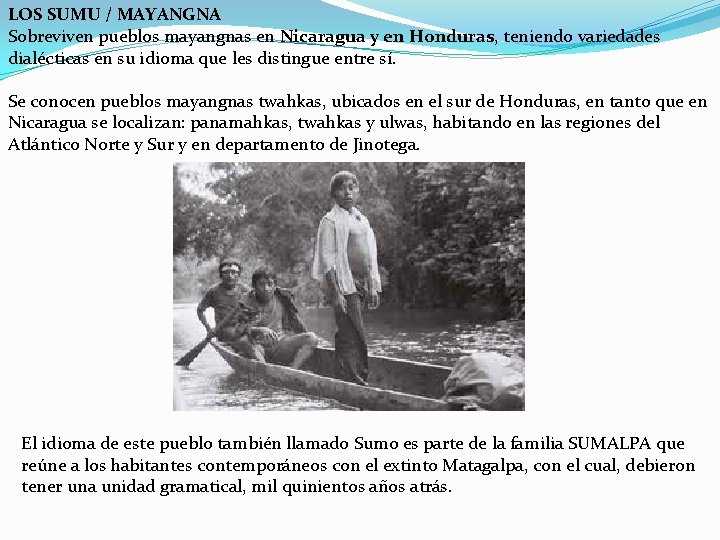 LOS SUMU / MAYANGNA Sobreviven pueblos mayangnas en Nicaragua y en Honduras, teniendo variedades