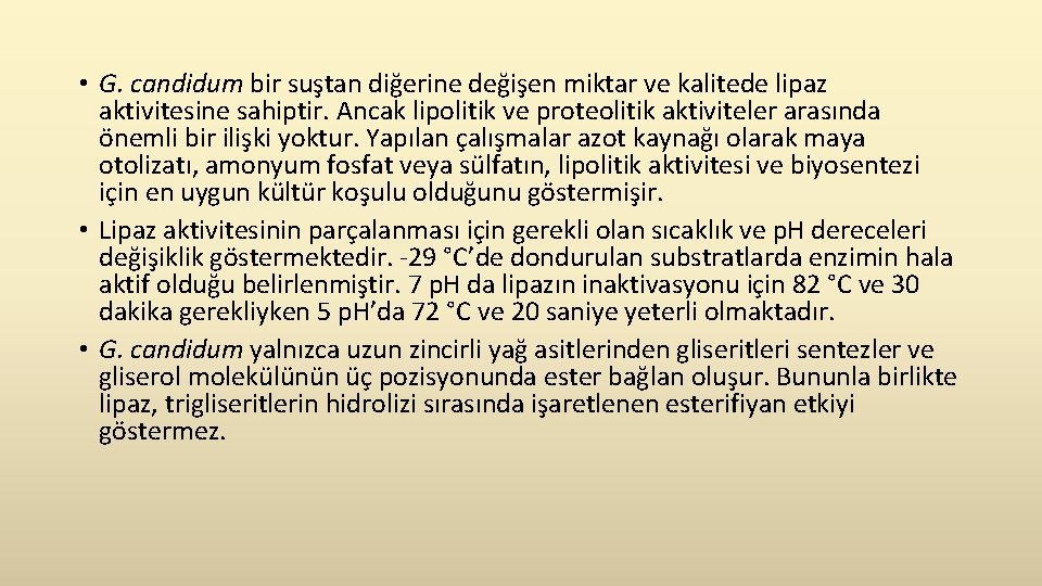  • G. candidum bir suştan diğerine değişen miktar ve kalitede lipaz aktivitesine sahiptir.