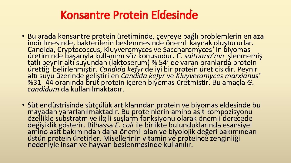  Konsantre Protein Eldesinde • Bu arada konsantre protein üretiminde, çevreye bağlı problemlerin en