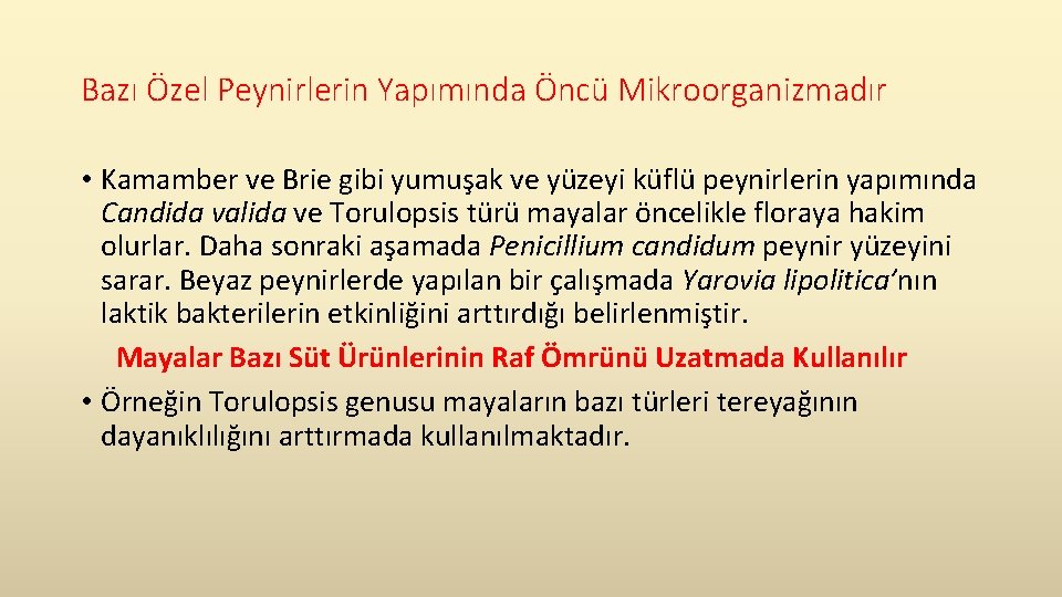 Bazı Özel Peynirlerin Yapımında Öncü Mikroorganizmadır • Kamamber ve Brie gibi yumuşak ve yüzeyi