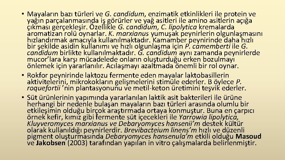  • Mayaların bazı türleri ve G. candidum, enzimatik etkinlikleri ile protein ve yağın