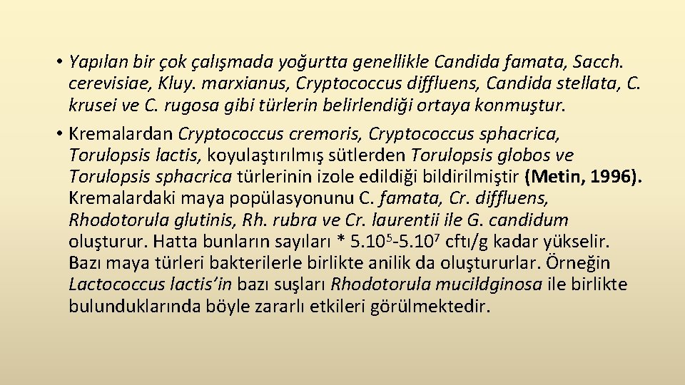  • Yapılan bir çok çalışmada yoğurtta genellikle Candida famata, Sacch. cerevisiae, Kluy. marxianus,