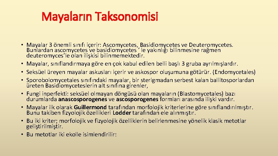  Mayaların Taksonomisi • Mayalar 3 önemli sınıfı içerir: Ascomycetes, Basidiomycetes ve Deuteromycetes. Bunlardan