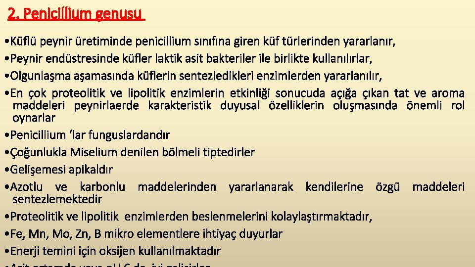 2. Penicillium genusu • Küflü peynir üretiminde penicillium sınıfına giren küf türlerinden yararlanır, •