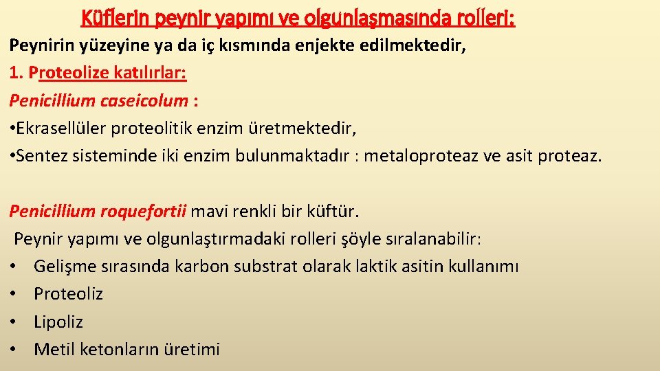 Küflerin peynir yapımı ve olgunlaşmasında rolleri: Peynirin yüzeyine ya da iç kısmında enjekte edilmektedir,