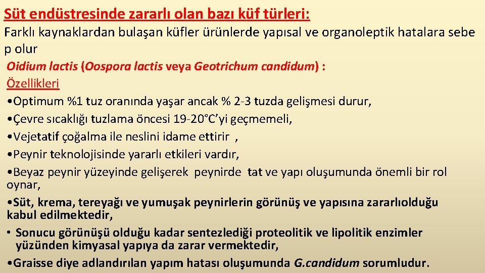 Süt endüstresinde zararlı olan bazı küf türleri: Farklı kaynaklardan bulaşan küfler ürünlerde yapısal ve