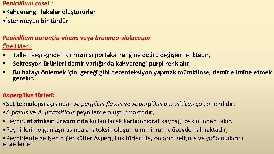 Penicillium casei : • Kahverengi lekeler oluştururlar • İstenmeyen bir türdür Penicillium aurantio-virens veya