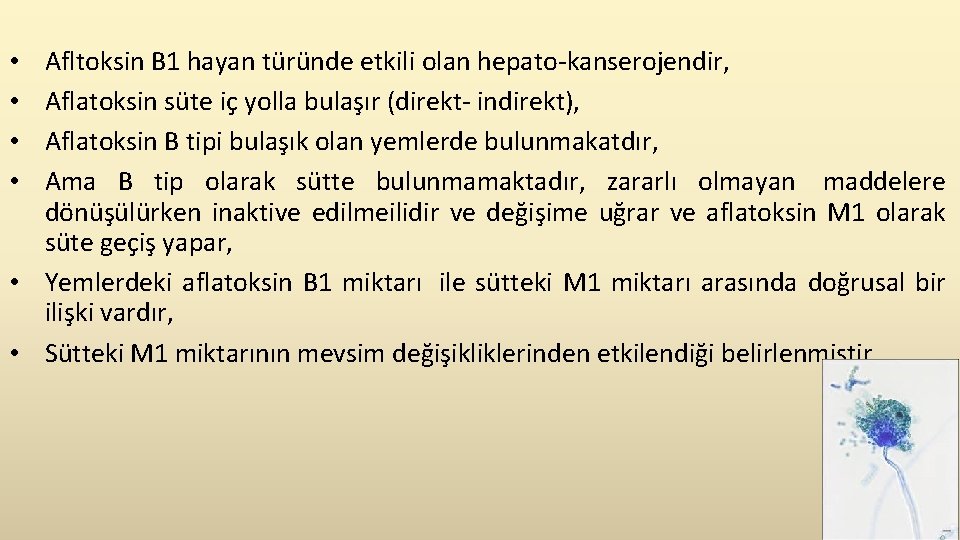 Afltoksin B 1 hayan türünde etkili olan hepato-kanserojendir, Aflatoksin süte iç yolla bulaşır (direkt-