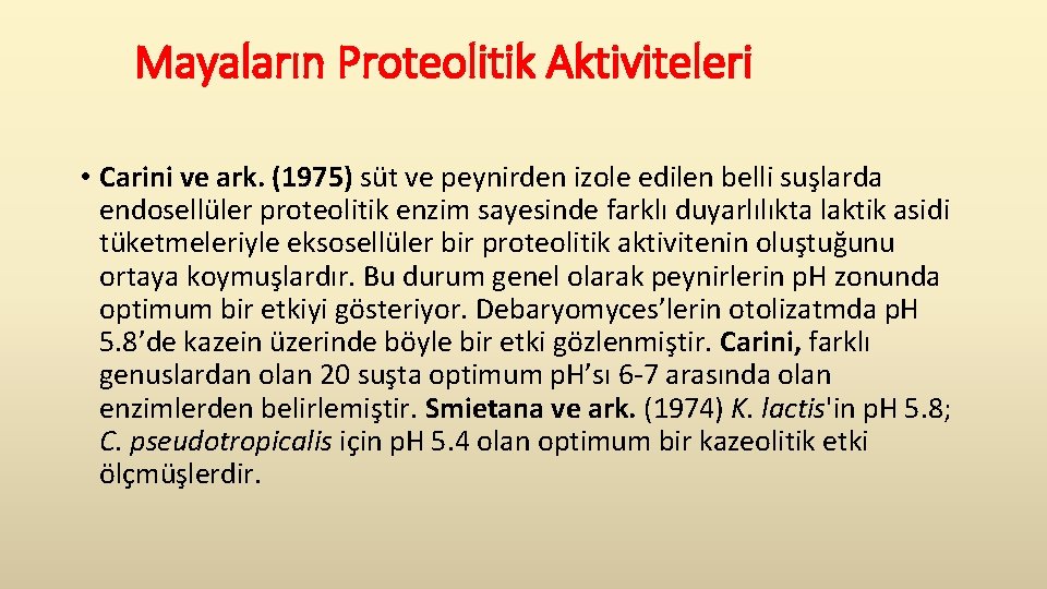  Mayaların Proteolitik Aktiviteleri • Carini ve ark. (1975) süt ve peynirden izole edilen