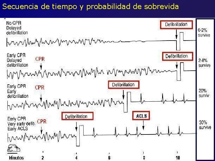 Secuencia de tiempo y probabilidad de sobrevida 