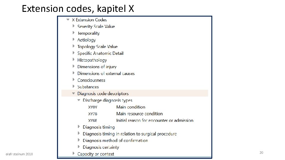 Extension codes, kapitel X olafr steinum 2018 20 
