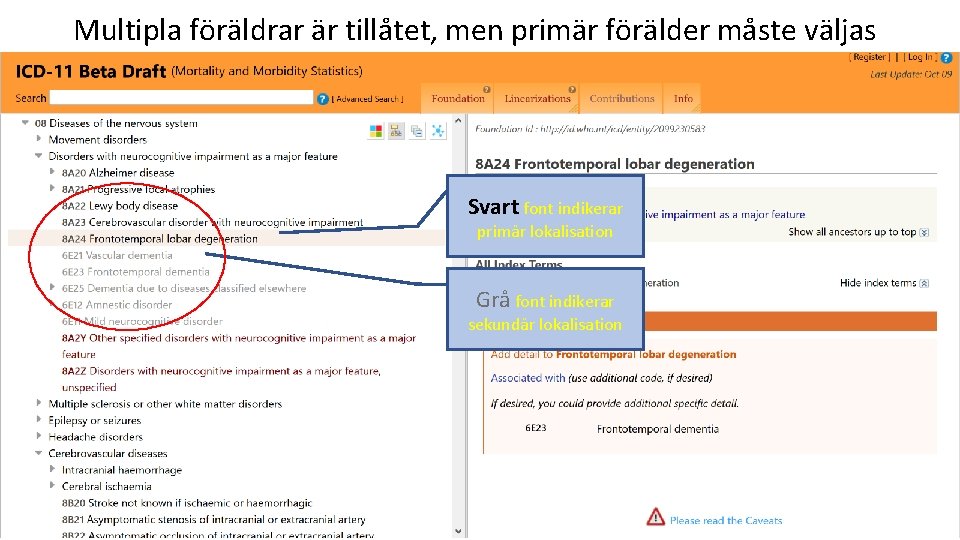 Multipla föräldrar är tillåtet, men primär förälder måste väljas Svart font indikerar primär lokalisation