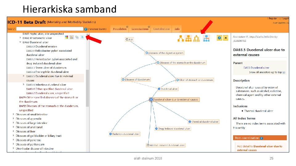 Hierarkiska samband olafr steinum 2018 25 