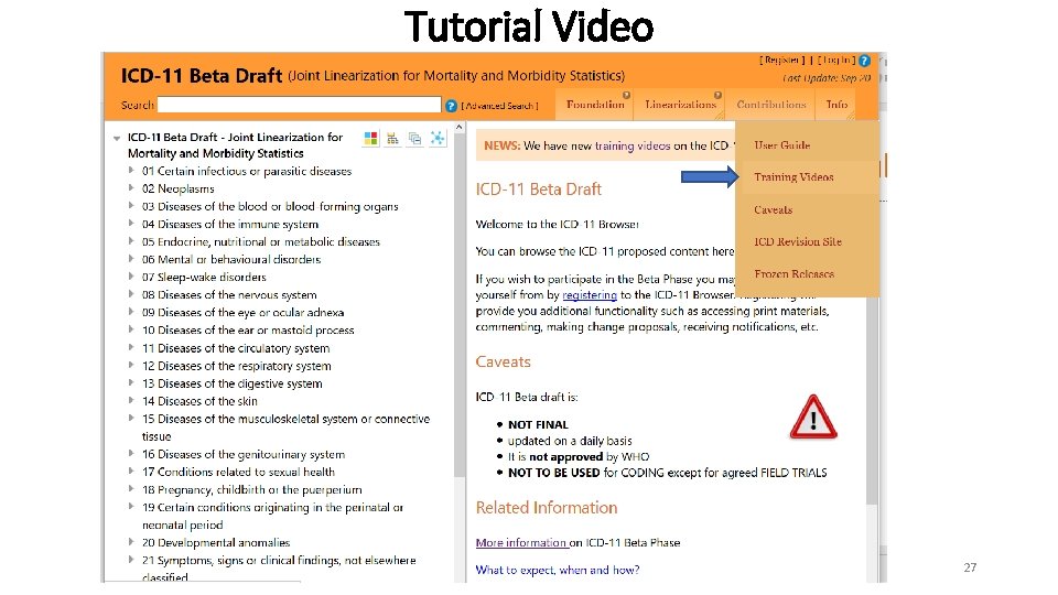 Tutorial Video olafr steinum 2018 27 