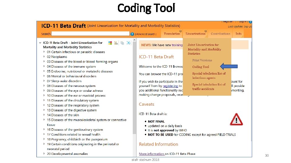Coding Tool olafr steinum 2018 30 