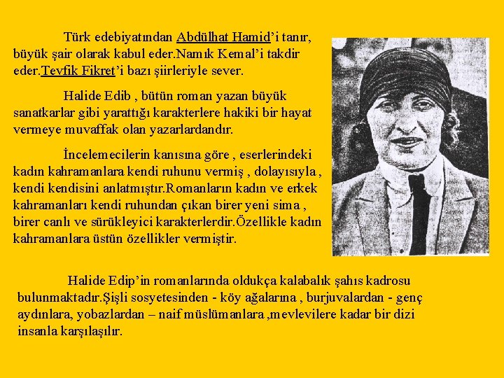 Türk edebiyatından Abdülhat Hamid’i tanır, büyük şair olarak kabul eder. Namık Kemal’i takdir eder.