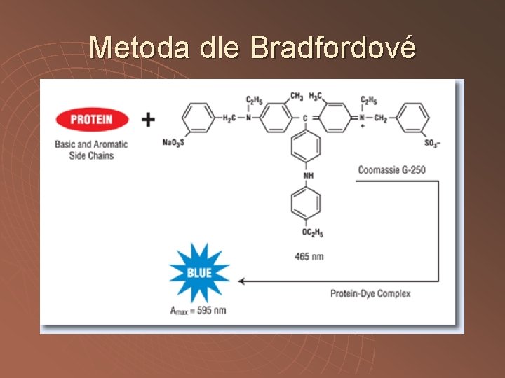 Metoda dle Bradfordové 