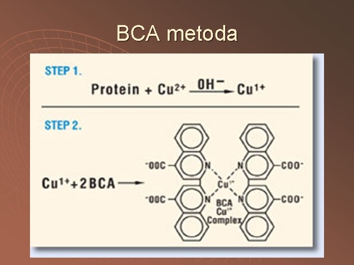 BCA metoda 