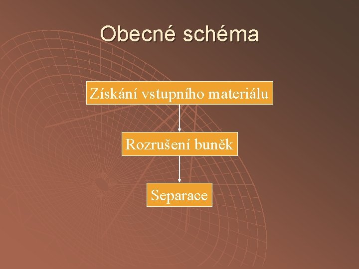 Obecné schéma Získání vstupního materiálu Rozrušení buněk Separace 