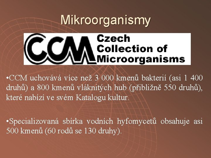 Mikroorganismy • CCM uchovává více než 3 000 kmenů bakterií (asi 1 400 druhů)