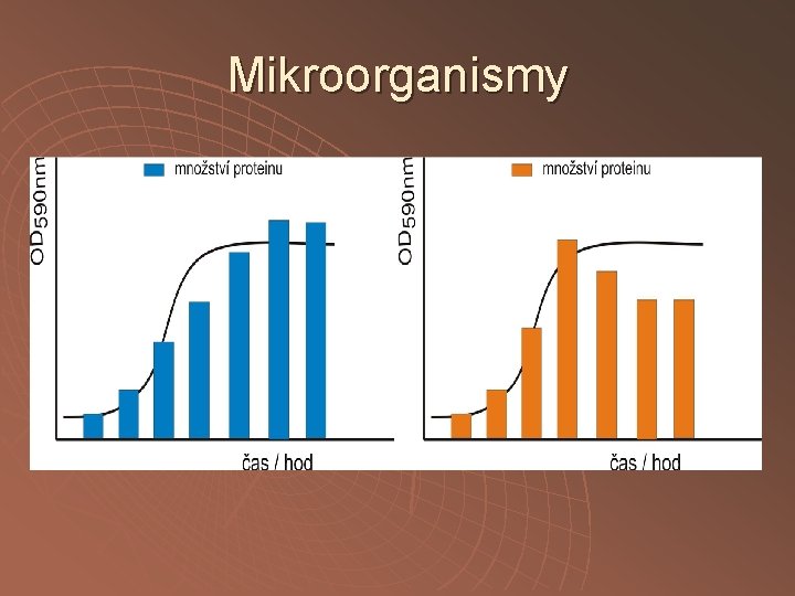 Mikroorganismy 