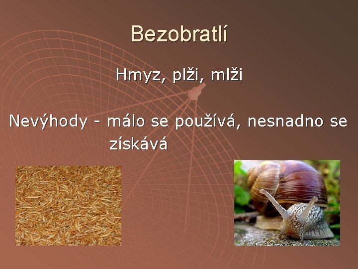 Bezobratlí Hmyz, plži, mlži Nevýhody - málo se používá, nesnadno se získává 