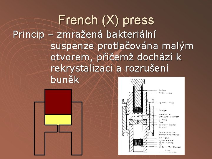 French (X) press Princip – zmražená bakteriální suspenze protlačována malým otvorem, přičemž dochází k