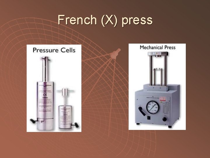 French (X) press 