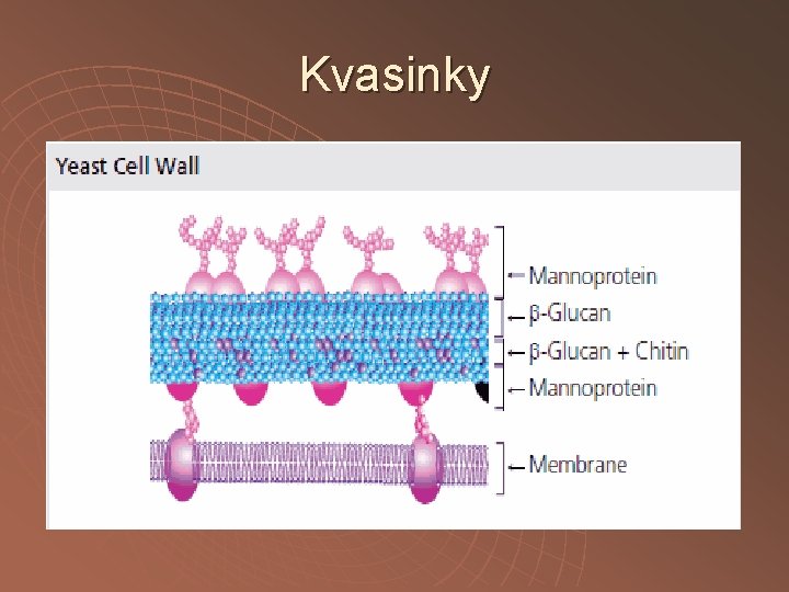 Kvasinky 