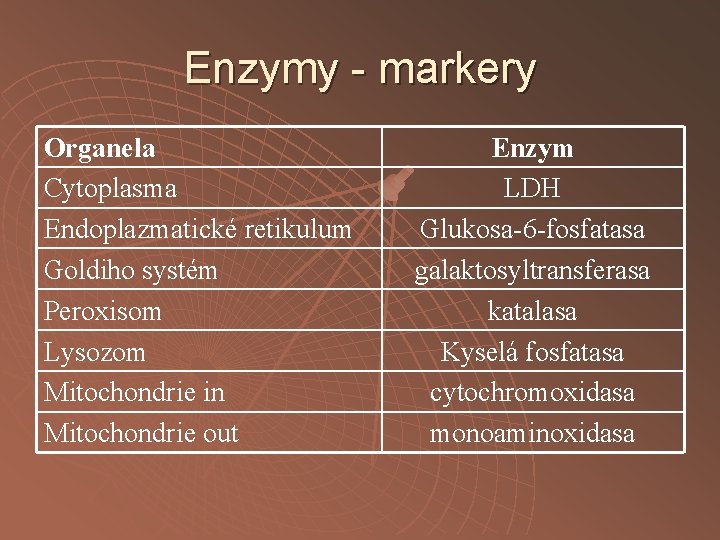 Enzymy - markery Organela Cytoplasma Endoplazmatické retikulum Goldiho systém Peroxisom Lysozom Mitochondrie in Mitochondrie