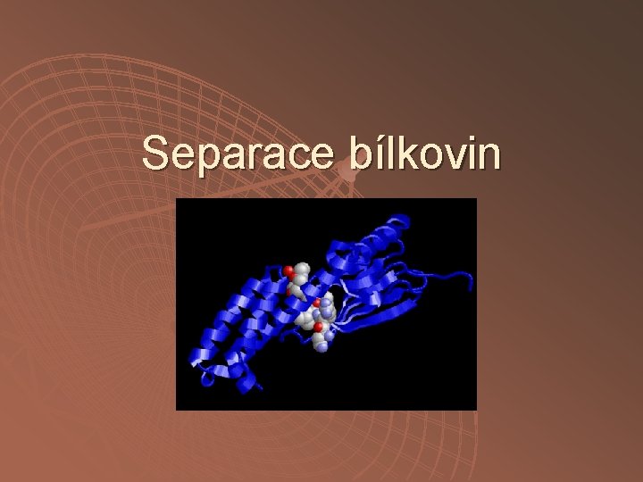 Separace bílkovin 