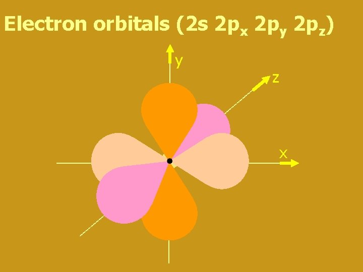 Electron orbitals (2 s 2 px 2 py 2 pz) y z x 