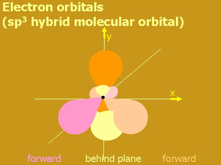 Electron orbitals (sp 3 hybrid molecular orbital) y x forward behind plane forward Electron orbitals (sp 3 hybrid molecular orbital) y x forward behind plane forward