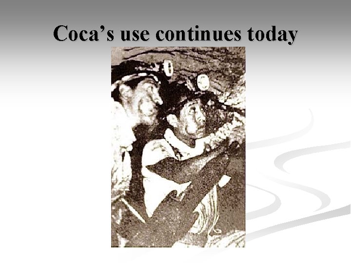 Coca’s use continues today 