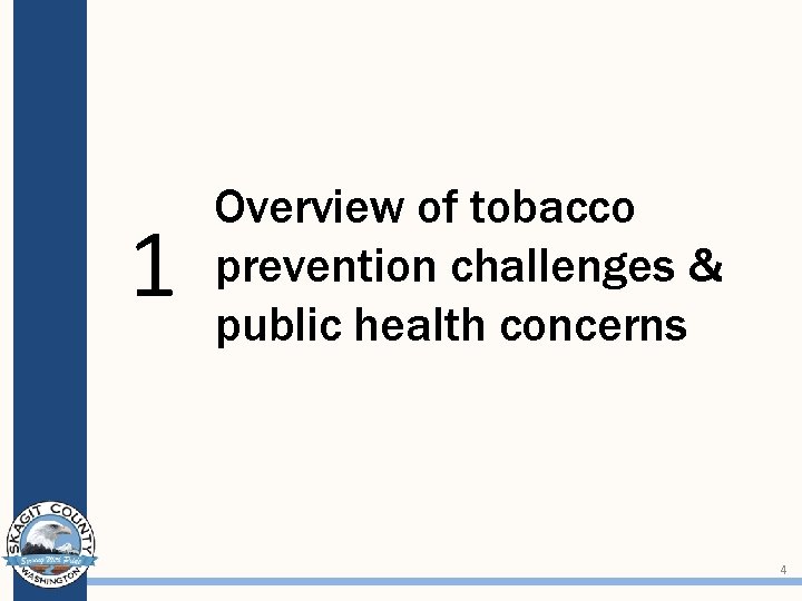 1 Overview of tobacco prevention challenges & public health concerns 4 