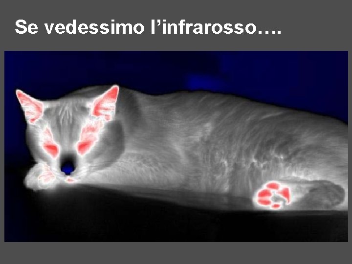 Se vedessimo l’infrarosso…. 