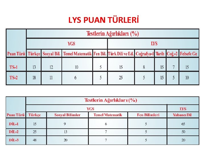 LYS PUAN TÜRLERİ 