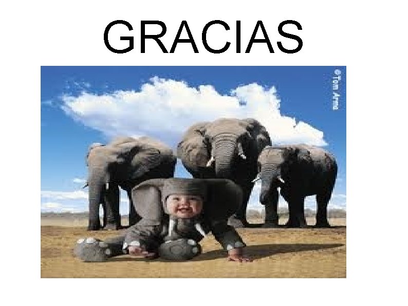 GRACIAS GRACIAS