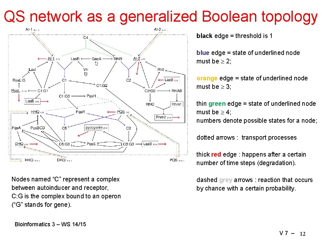 QS network as a generalized Boolean topology black edge = threshold is 1 blue