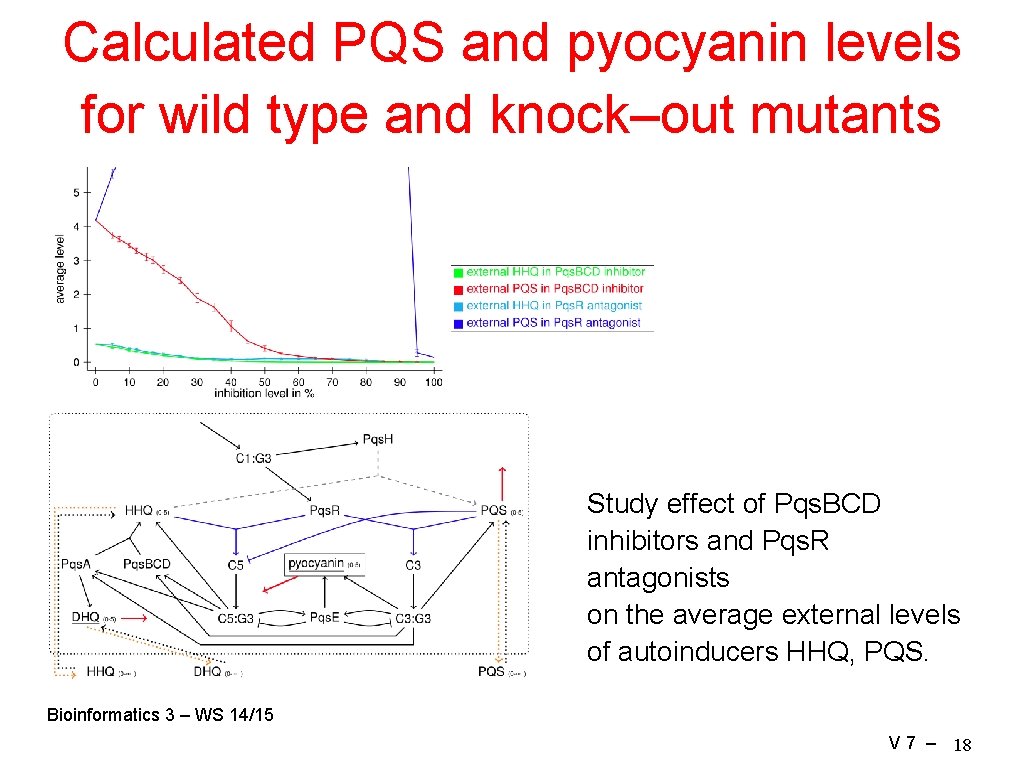 Calculated PQS and pyocyanin levels for wild type and knock–out mutants Study effect of