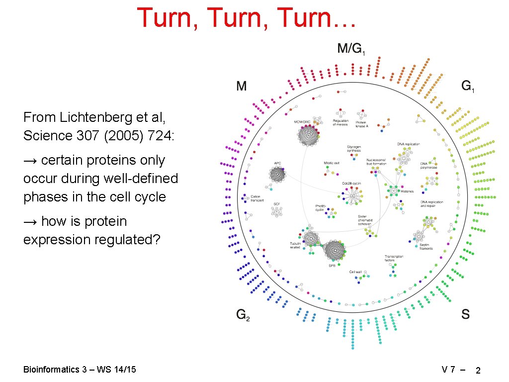 Turn, Turn… From Lichtenberg et al, Science 307 (2005) 724: → certain proteins only