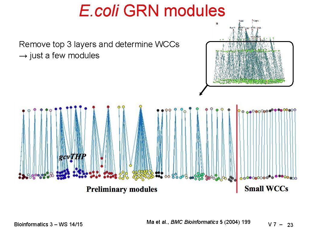 E. coli GRN modules Remove top 3 layers and determine WCCs → just a