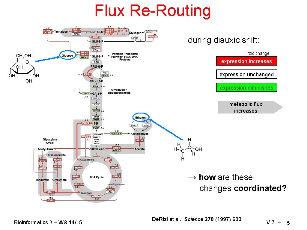 Flux Re-Routing during diauxic shift: fold change expression increases expression unchanged expression diminishes metabolic