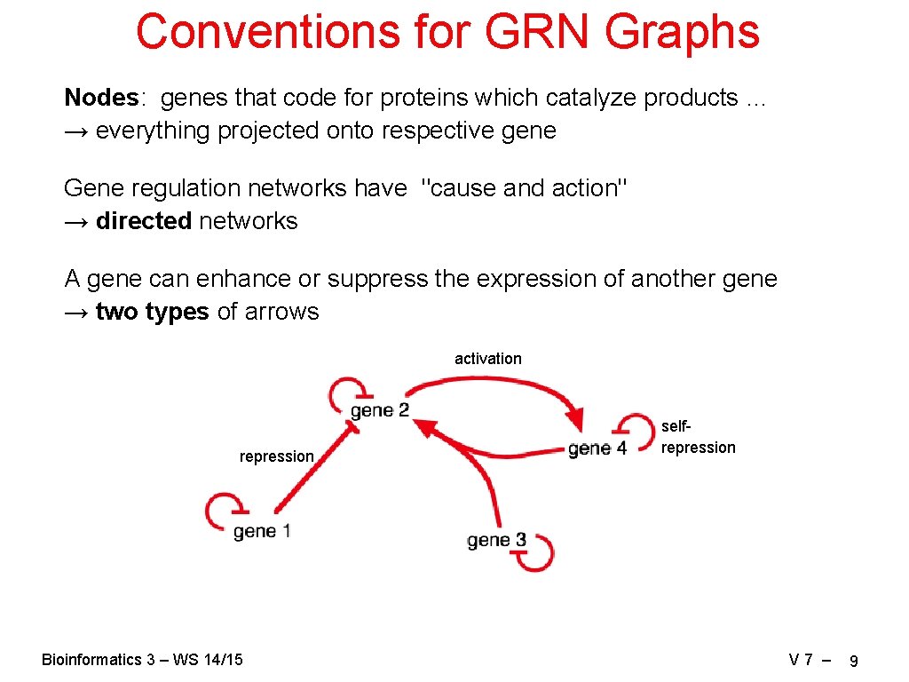 Conventions for GRN Graphs Nodes: genes that code for proteins which catalyze products …