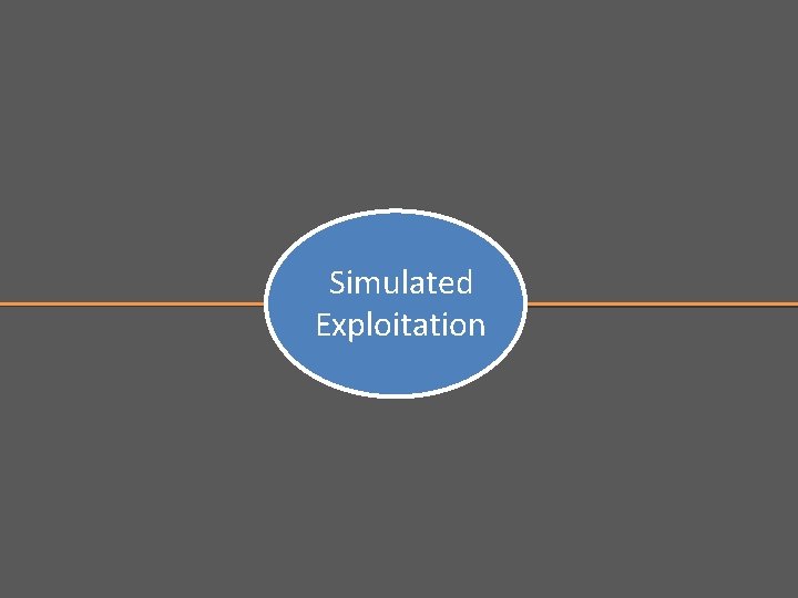 Simulated Exploitation 